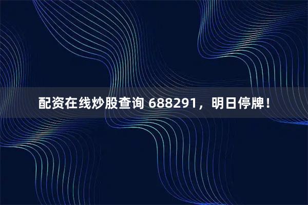 配资在线炒股查询 688291，明日停牌！